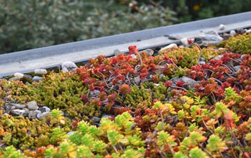 the cost of Severn Beach green roof installation