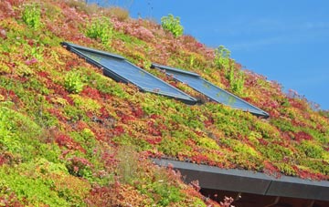 Severn Beach living roof systems